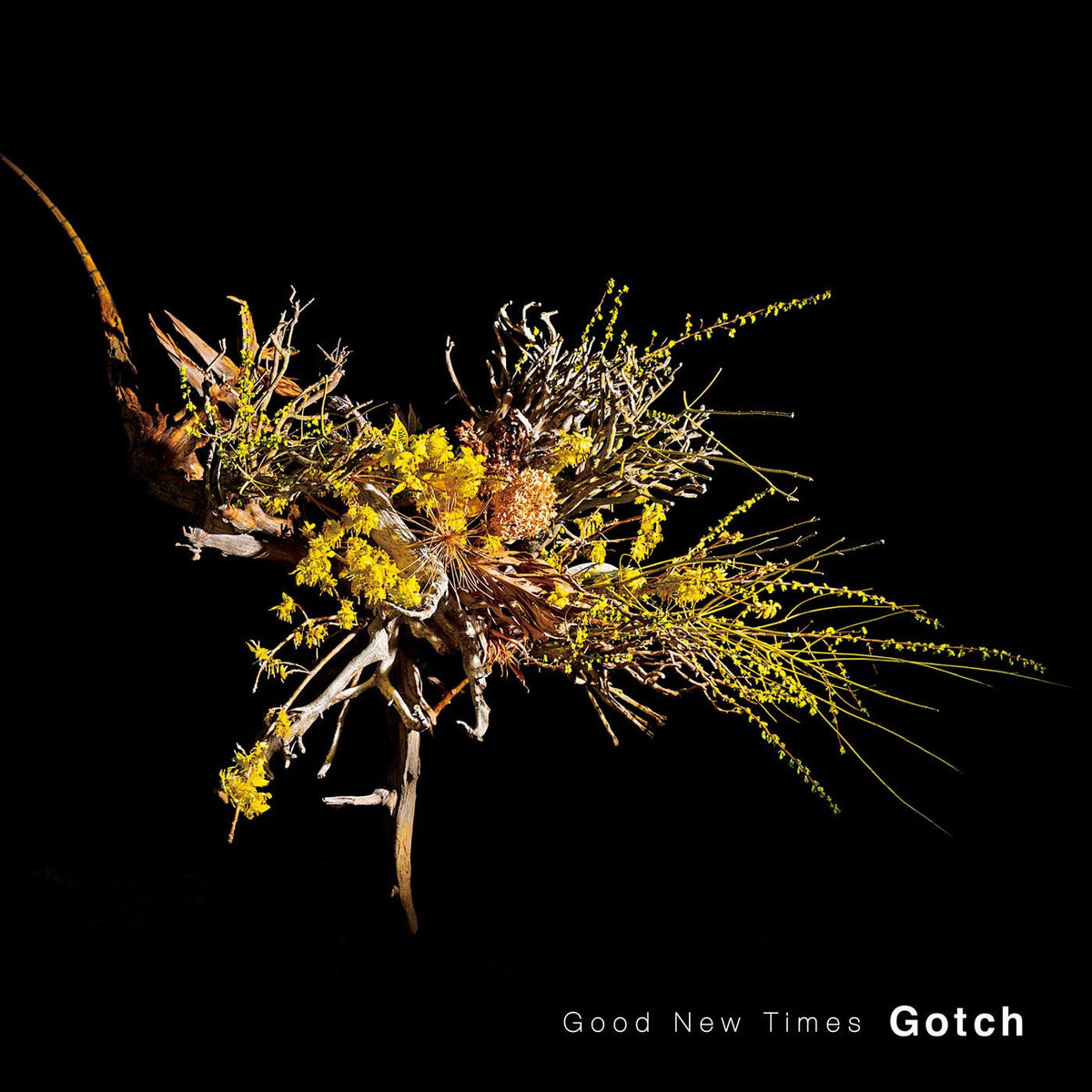 Gotch – Good New Times vinyl record cover