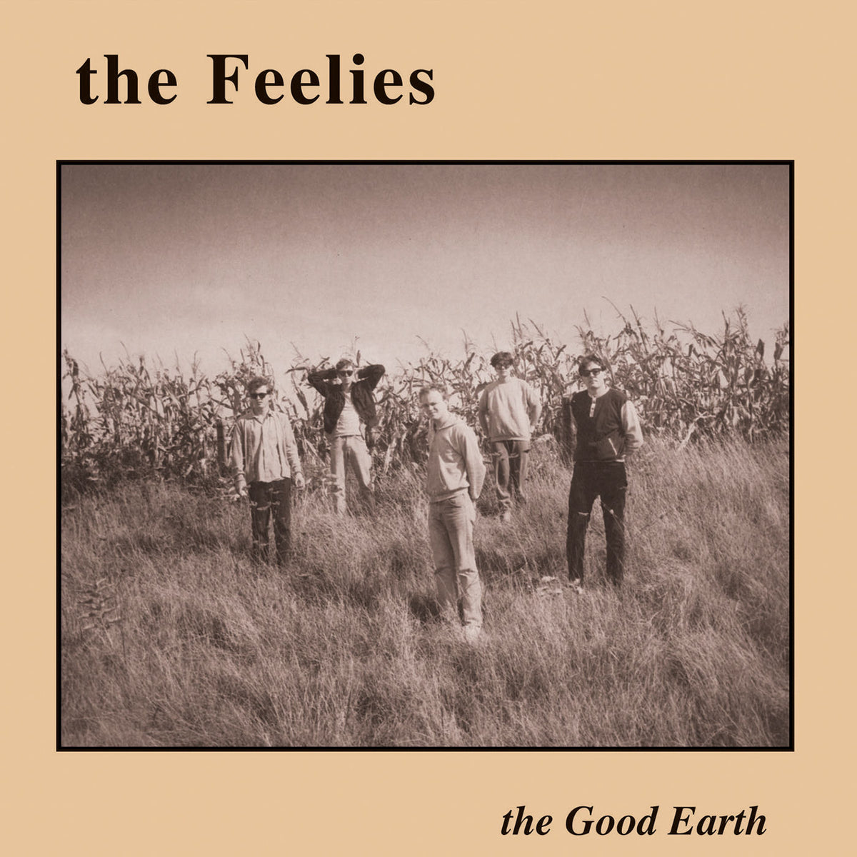 The Feelies – The Good Earth vinyl cover
