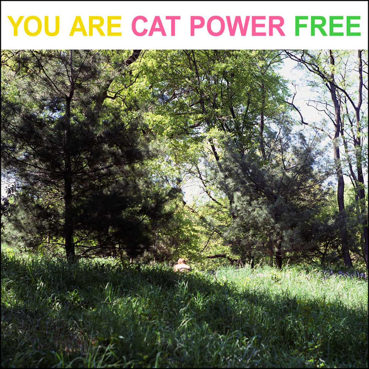 Cat Power – You Are Free vinyl record cover