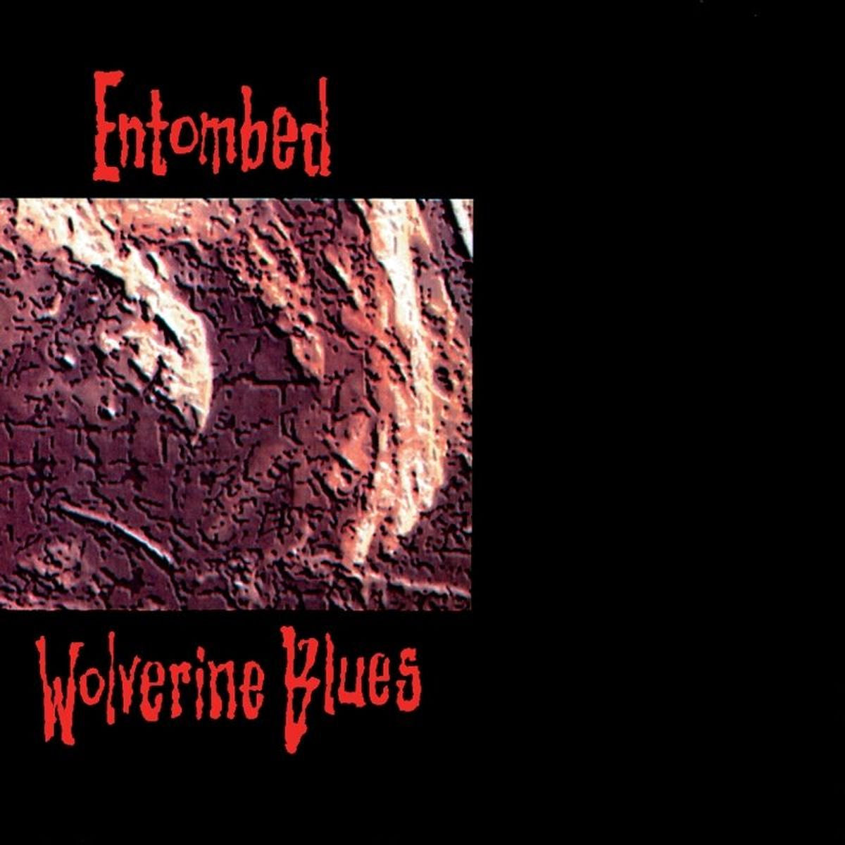 Entombed – Wolverine Blues vinyl record cover