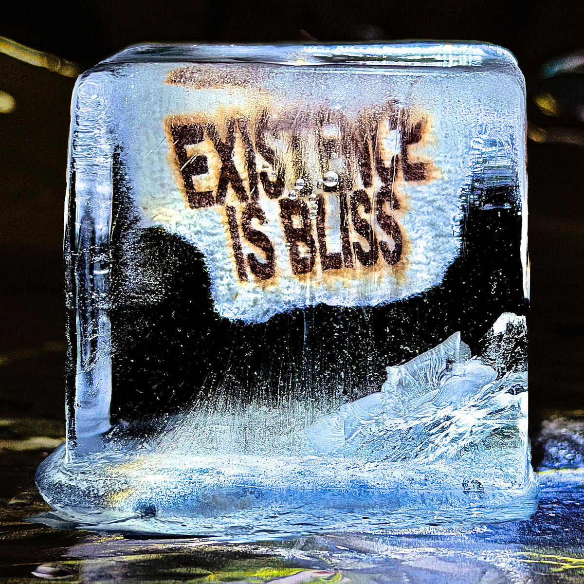 Deadletter – Existence Is Bliss vinyl record cover