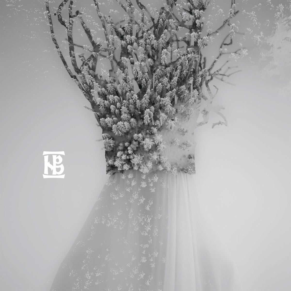 Negura Bunget – Zău vinyl cover