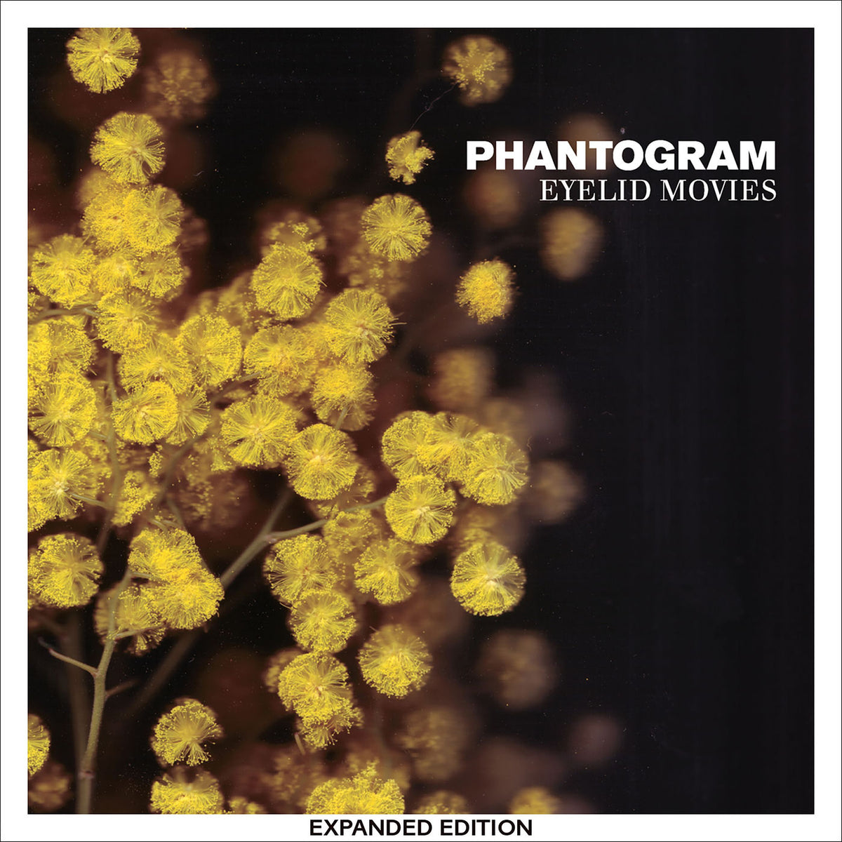 Phantogram – Eyelid Movies (Clear/Yellow Swirl Vinyl) vinyl record cover