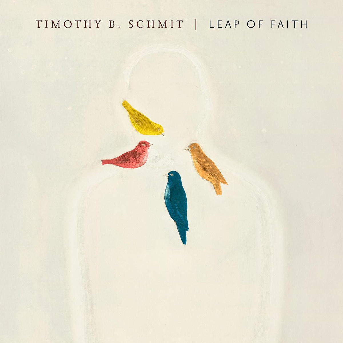Timothy B. Schmit – Leap of Faith vinyl record cover