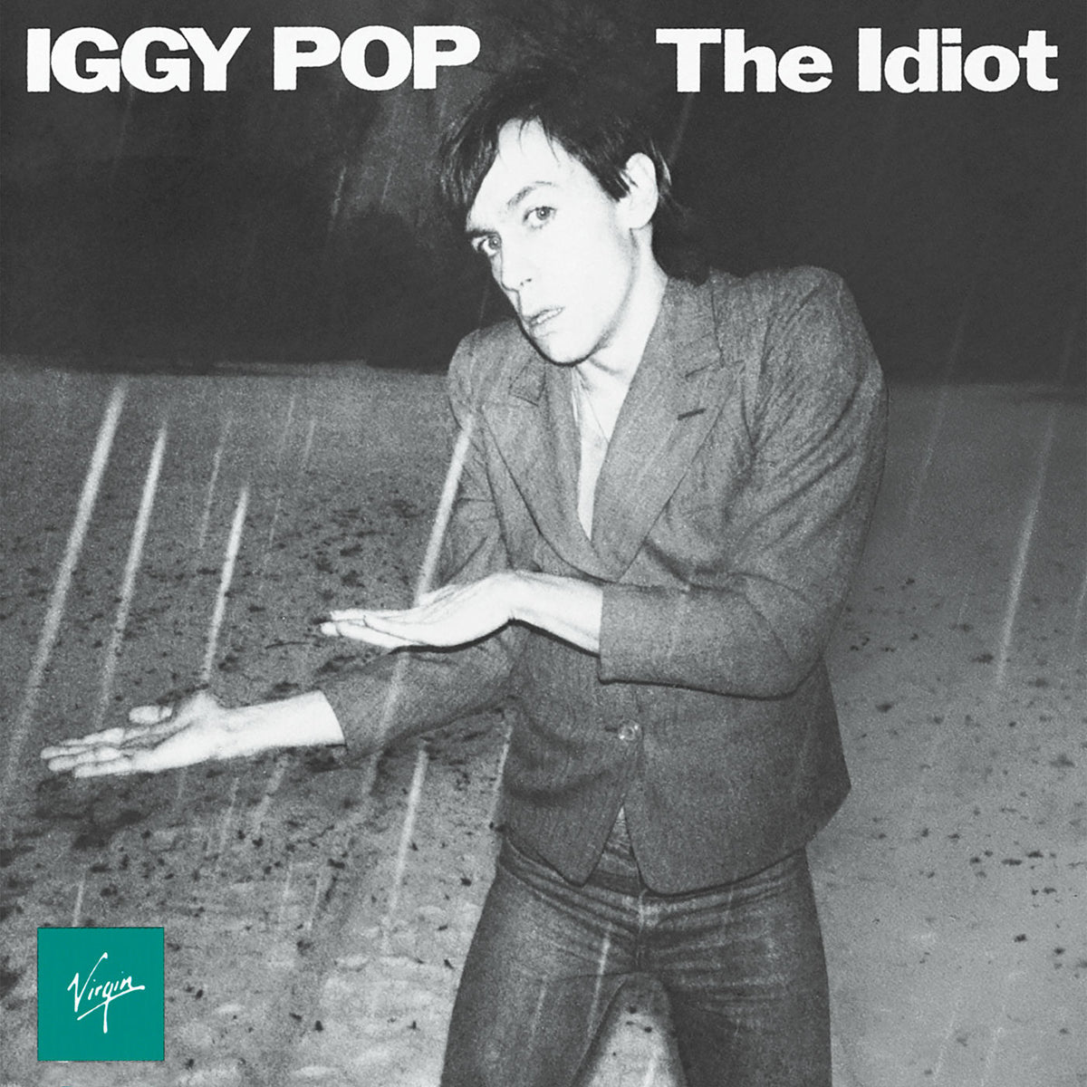 Iggy Pop – The Idiot vinyl cover