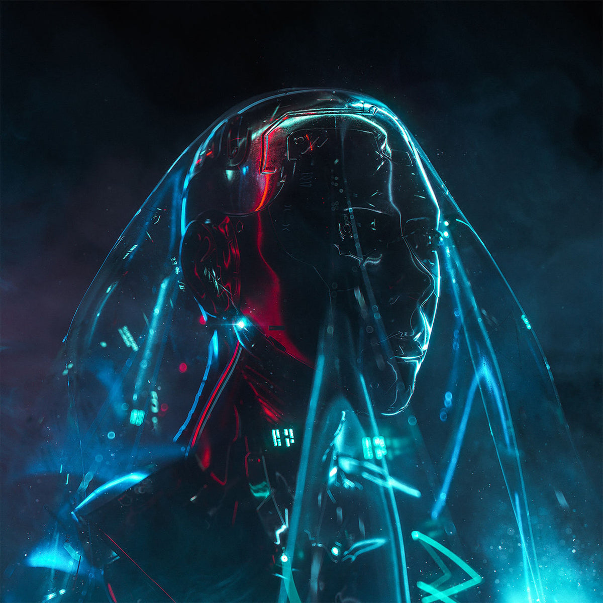 Becoming Real – Mist Face vinyl record cover