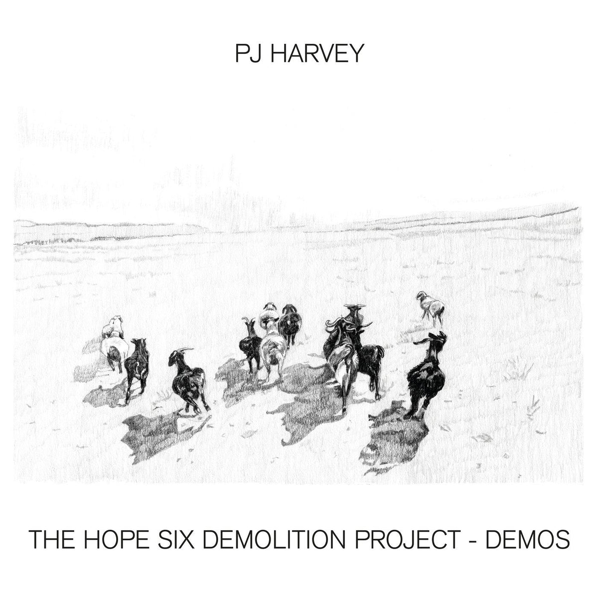 PJ Harvey – The Hope Six Demolition Project - Demos vinyl record cover