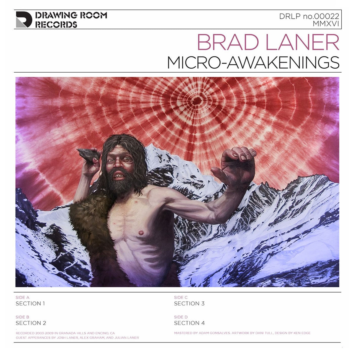 Brad Laner – Micro-Awakenings vinyl cover
