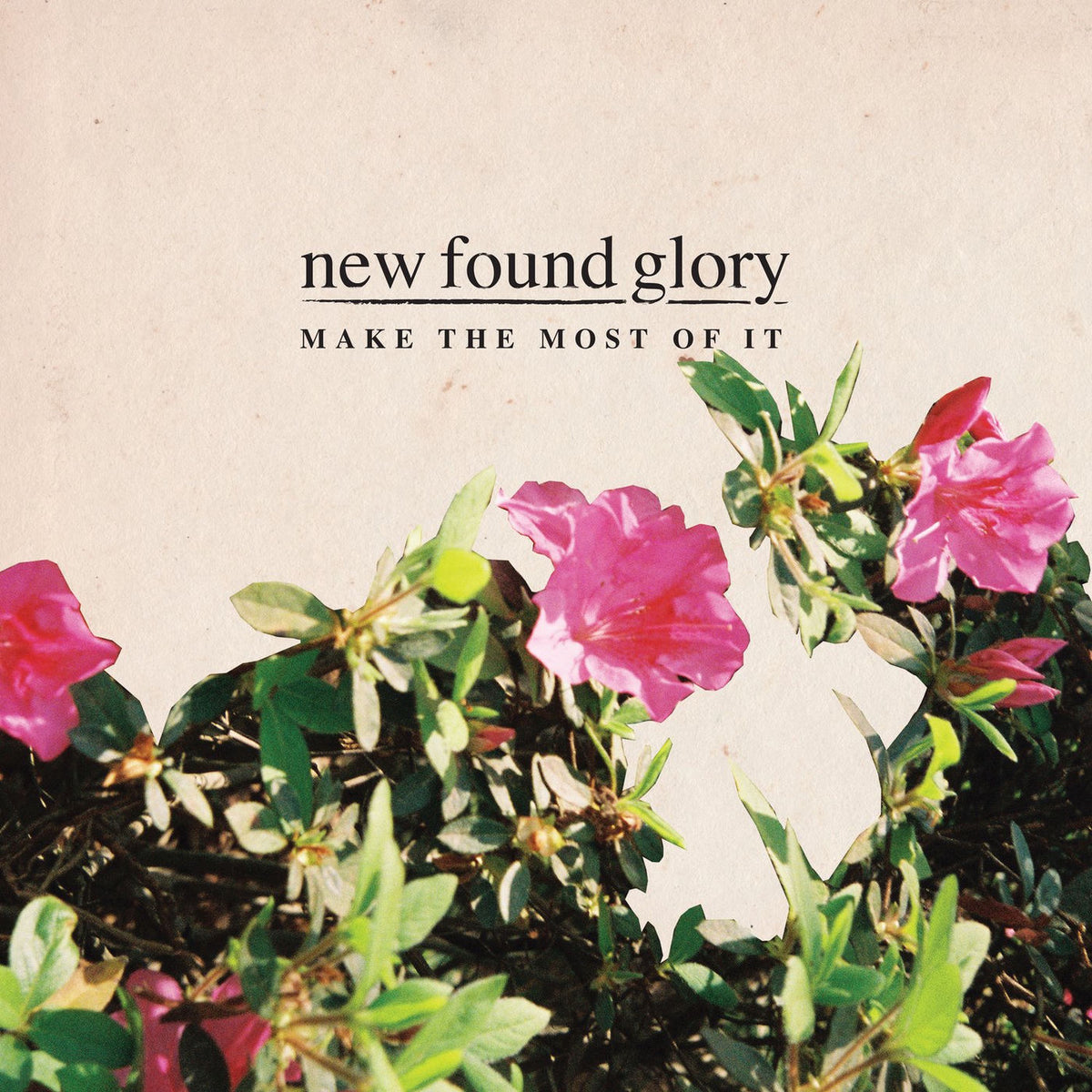 New Found Glory – Make the Most of It vinyl record cover