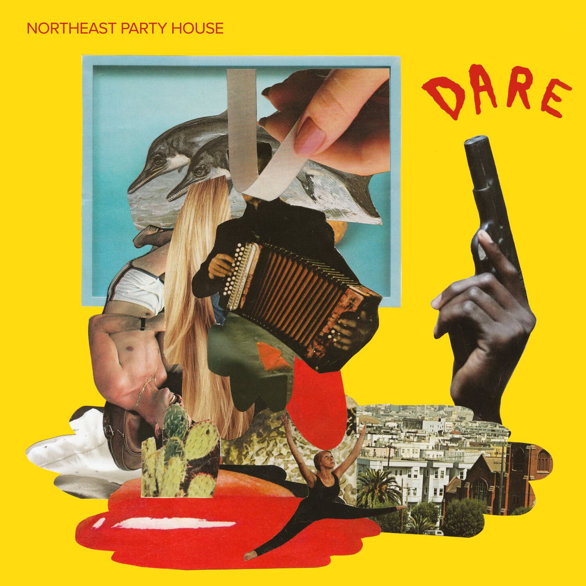 Northeast Party House – DARE vinyl record cover