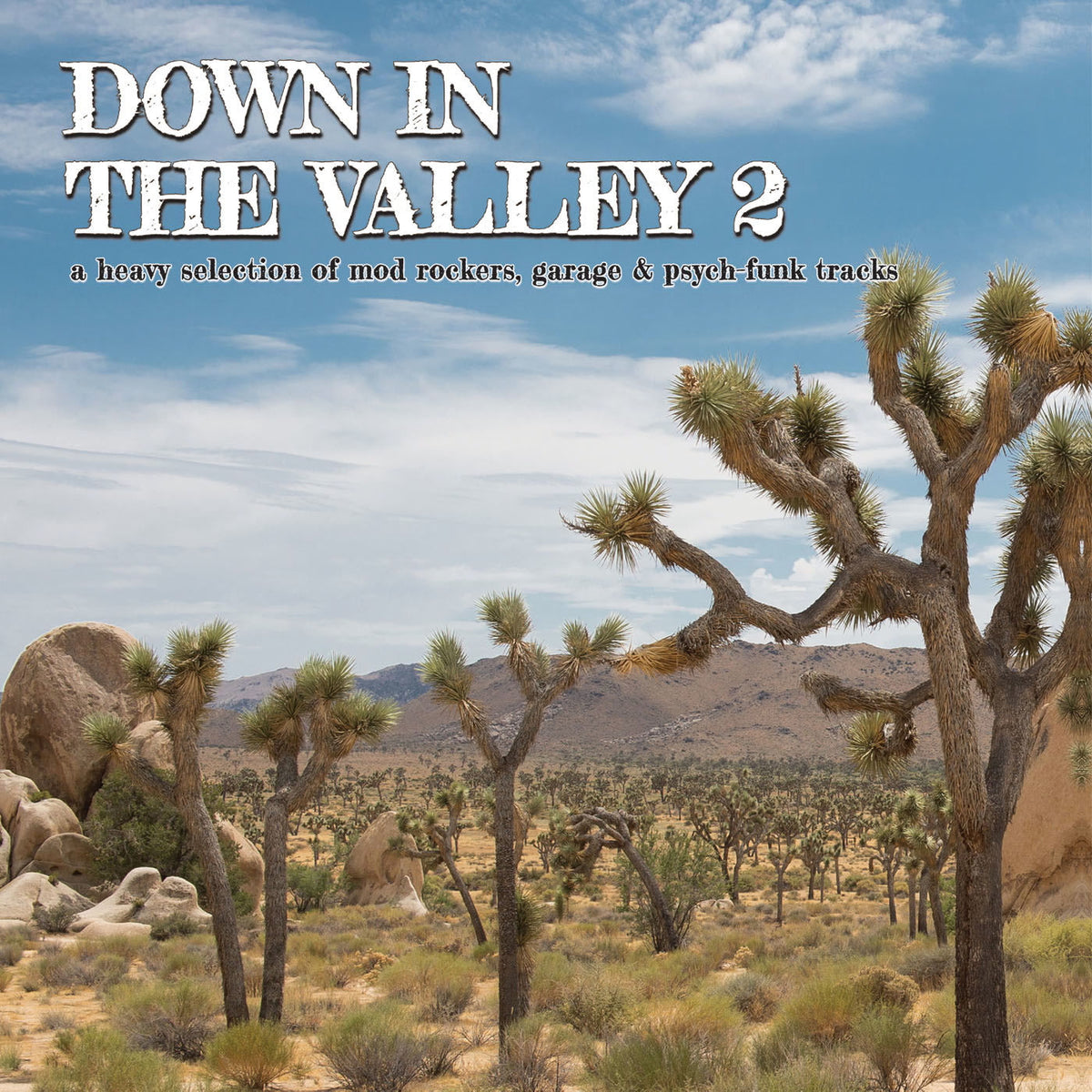 Various Artists – Down In The Valley 2 vinyl record cover