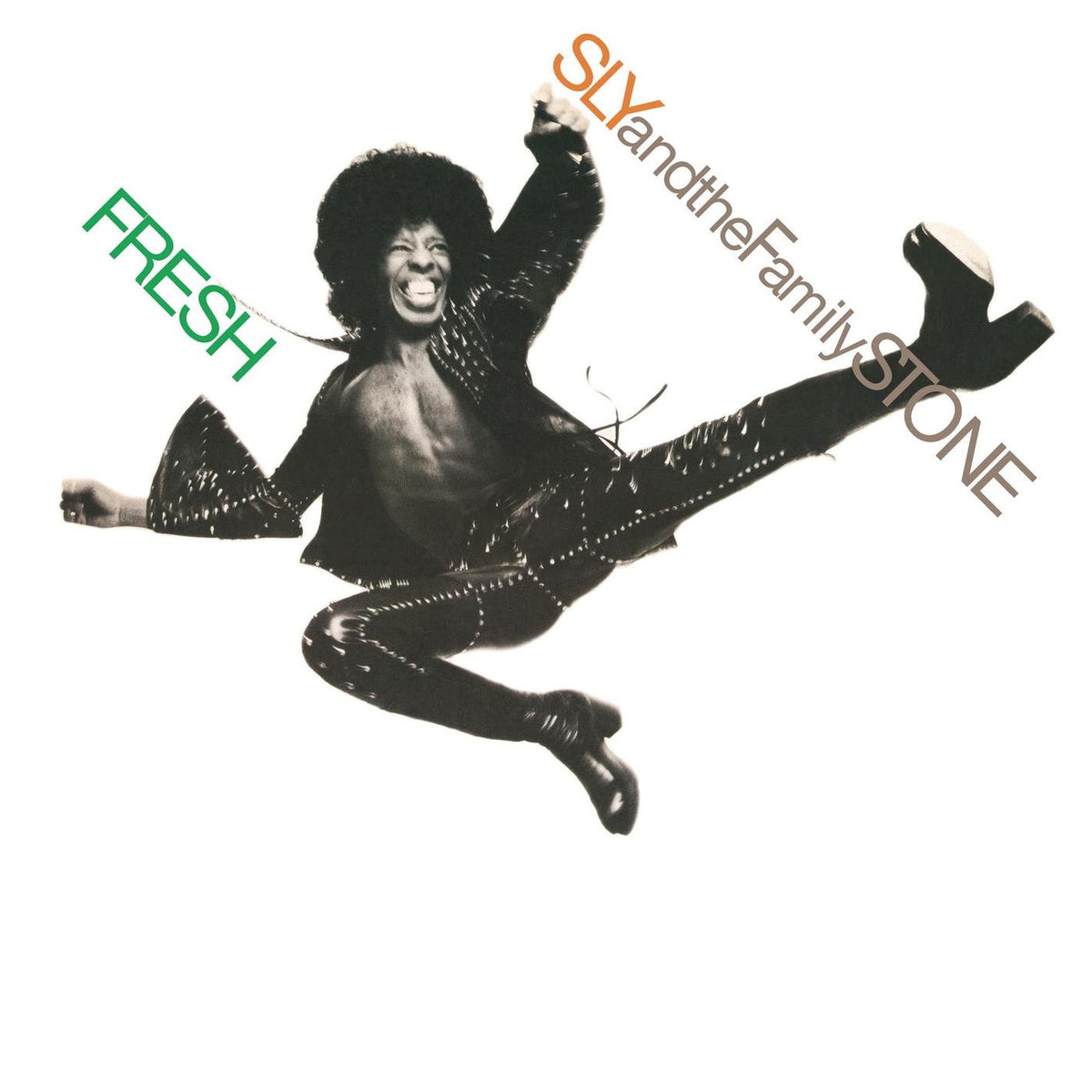 Sly and the Family Stone – Fresh vinyl record cover