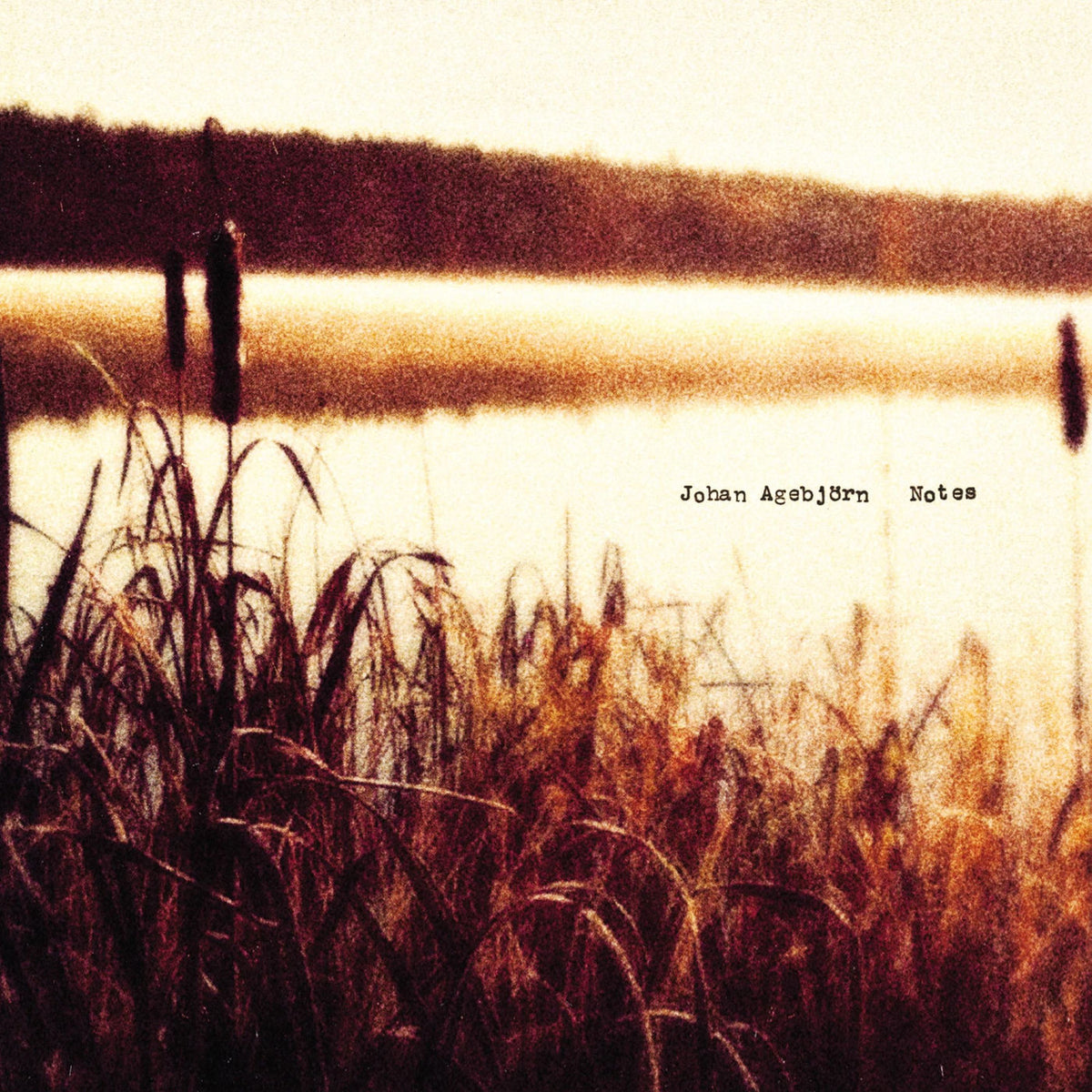 Johan Agebjorn – Notes vinyl record cover