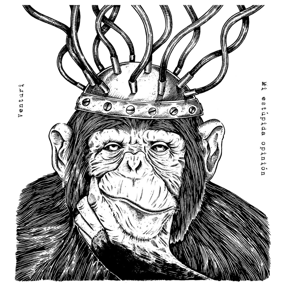 Venturi – Mi Estupida Opinion vinyl record cover