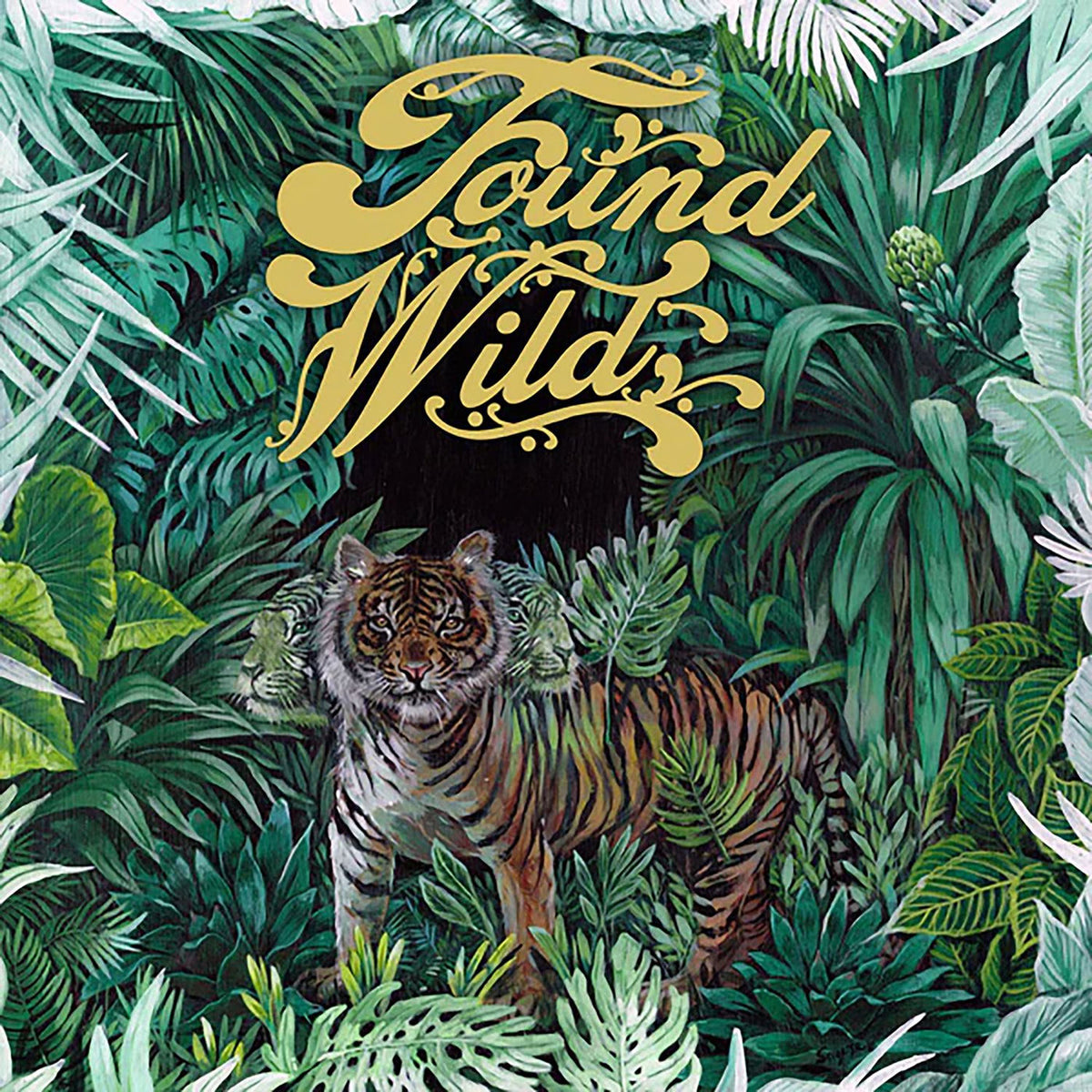 Found Wild – Found Wild vinyl record cover