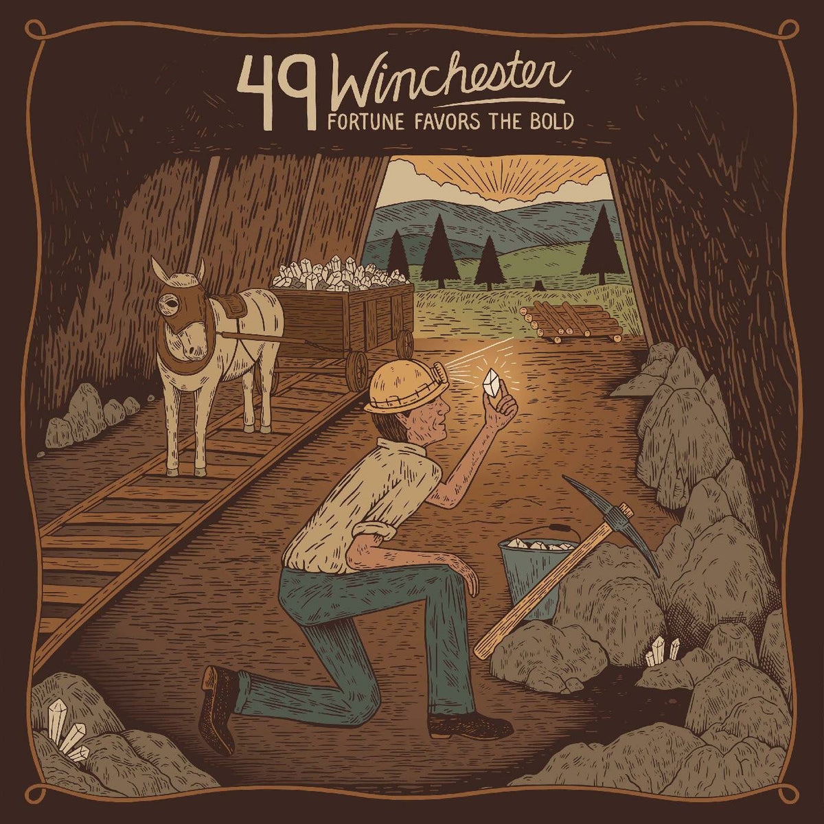49 Winchester – Fortune Favors the Bold vinyl record cover