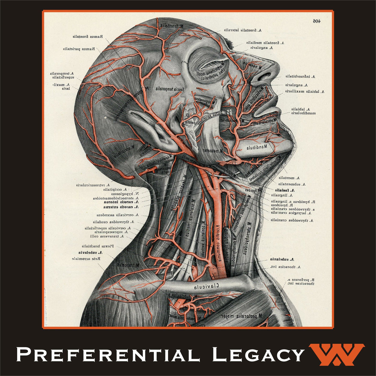 Wumpscut – Preferential Legacy vinyl record cover