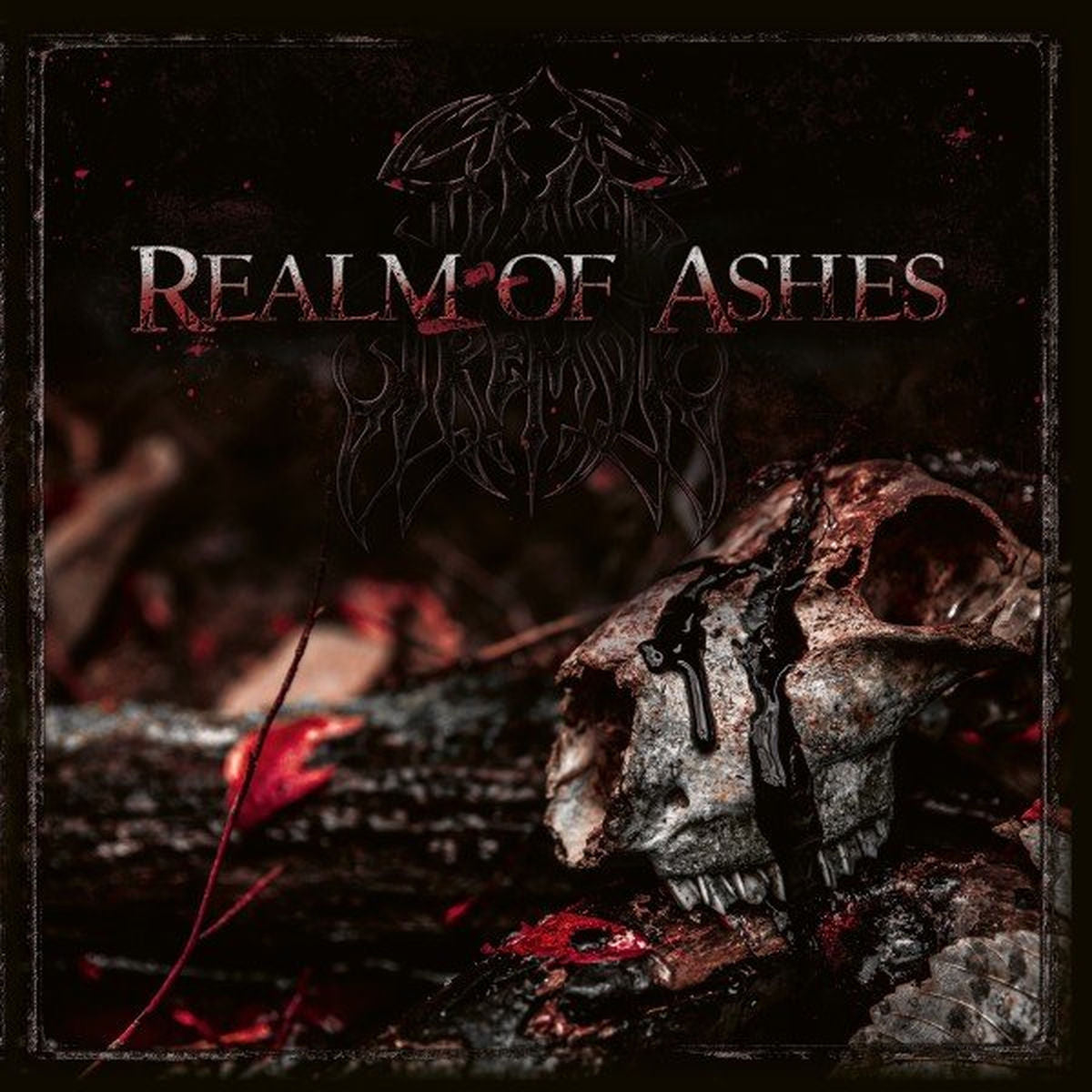 Timor Et Tremor – Realm Of Ashes vinyl record cover