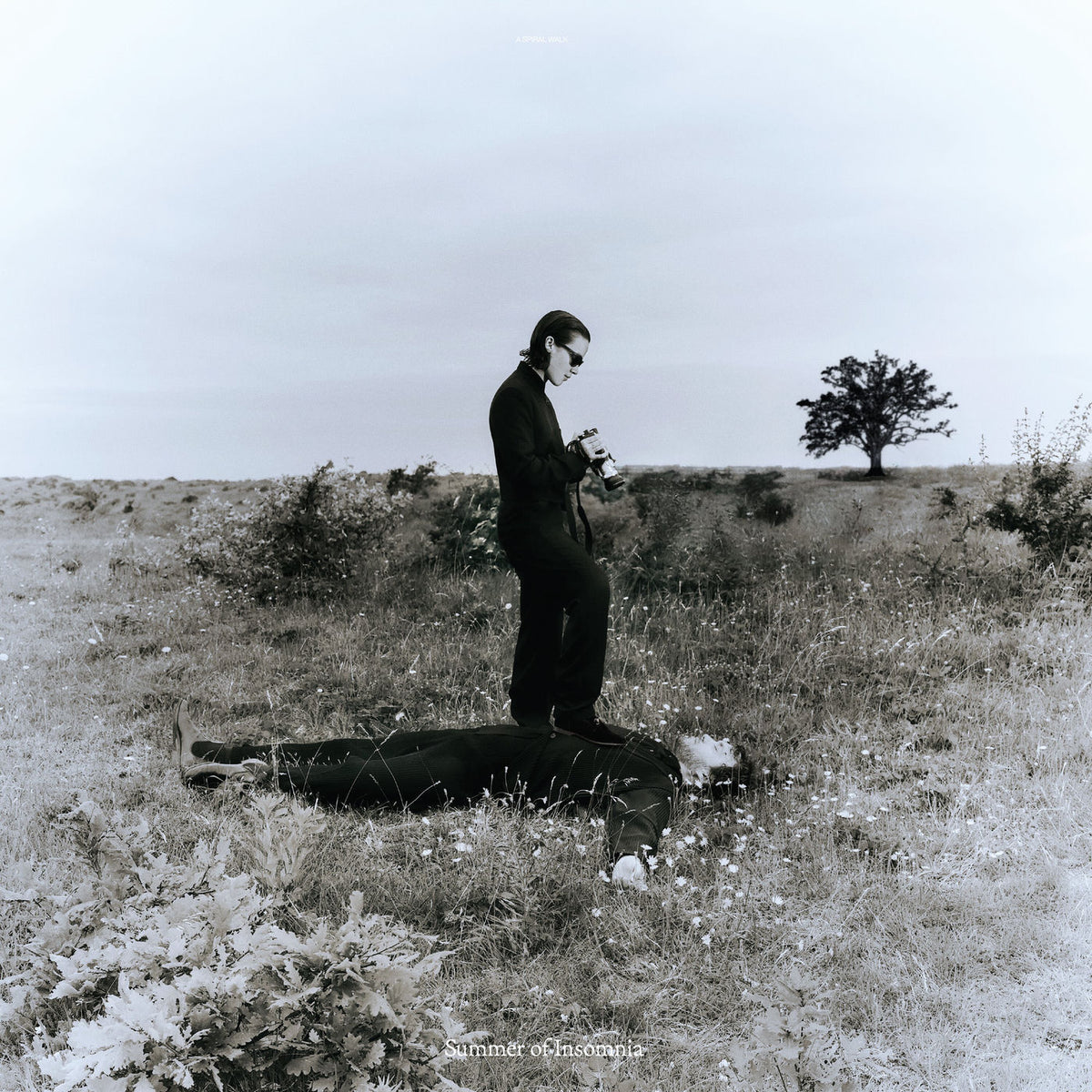 A Spiral Walk – Summer Of Insomnia (TRANSPARENT GREY VINYL) vinyl record cover