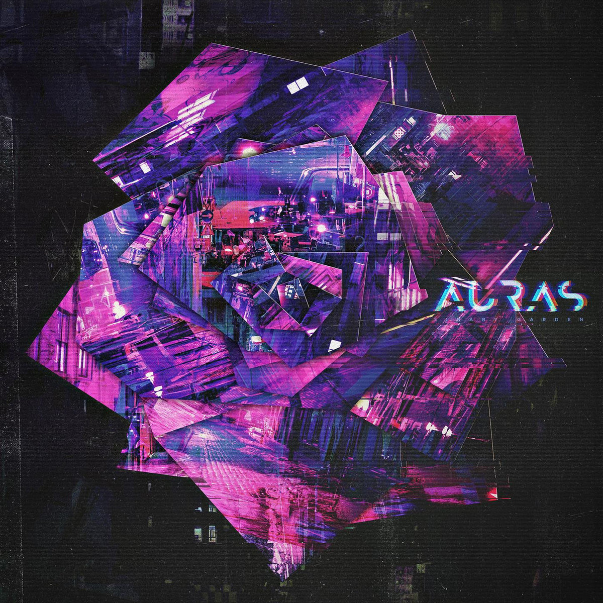 Auras – Binary Garden vinyl record cover