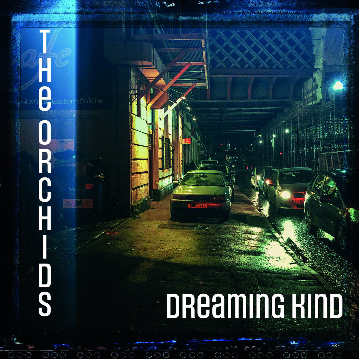 The Orchids – Dreaming Kind vinyl record cover