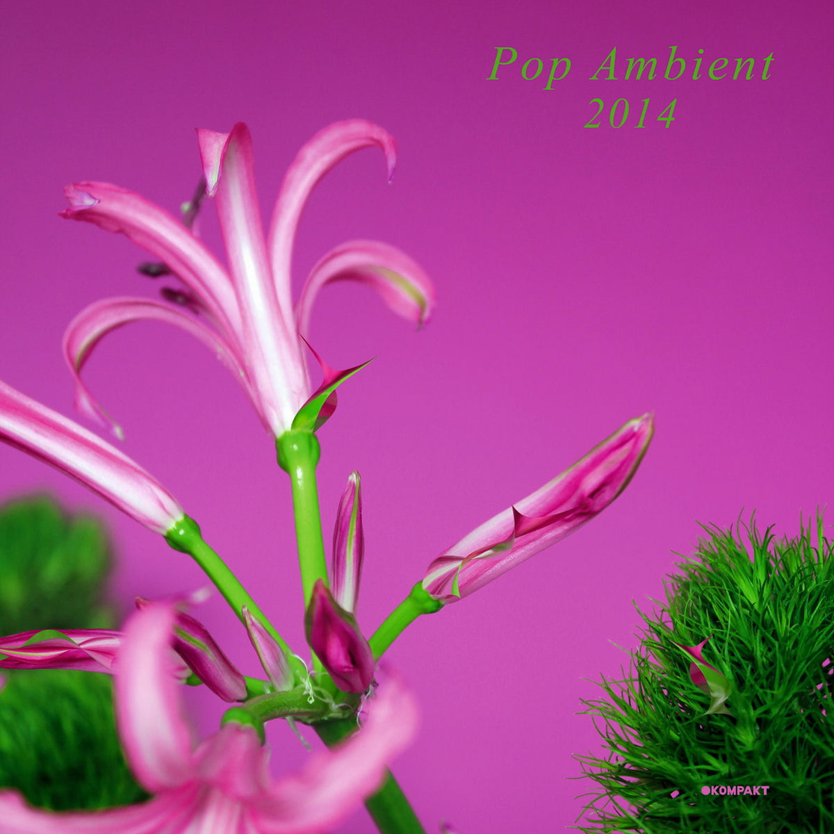 Various Artists – Pop Ambient 2014 vinyl record cover