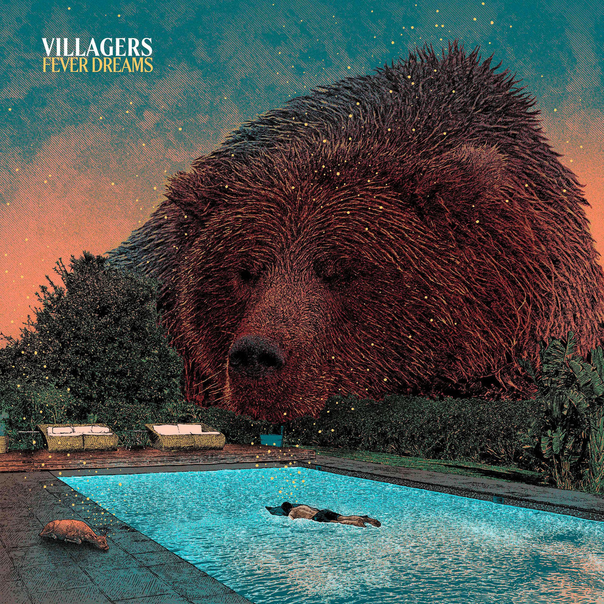 Villagers – Fever Dreams vinyl record cover