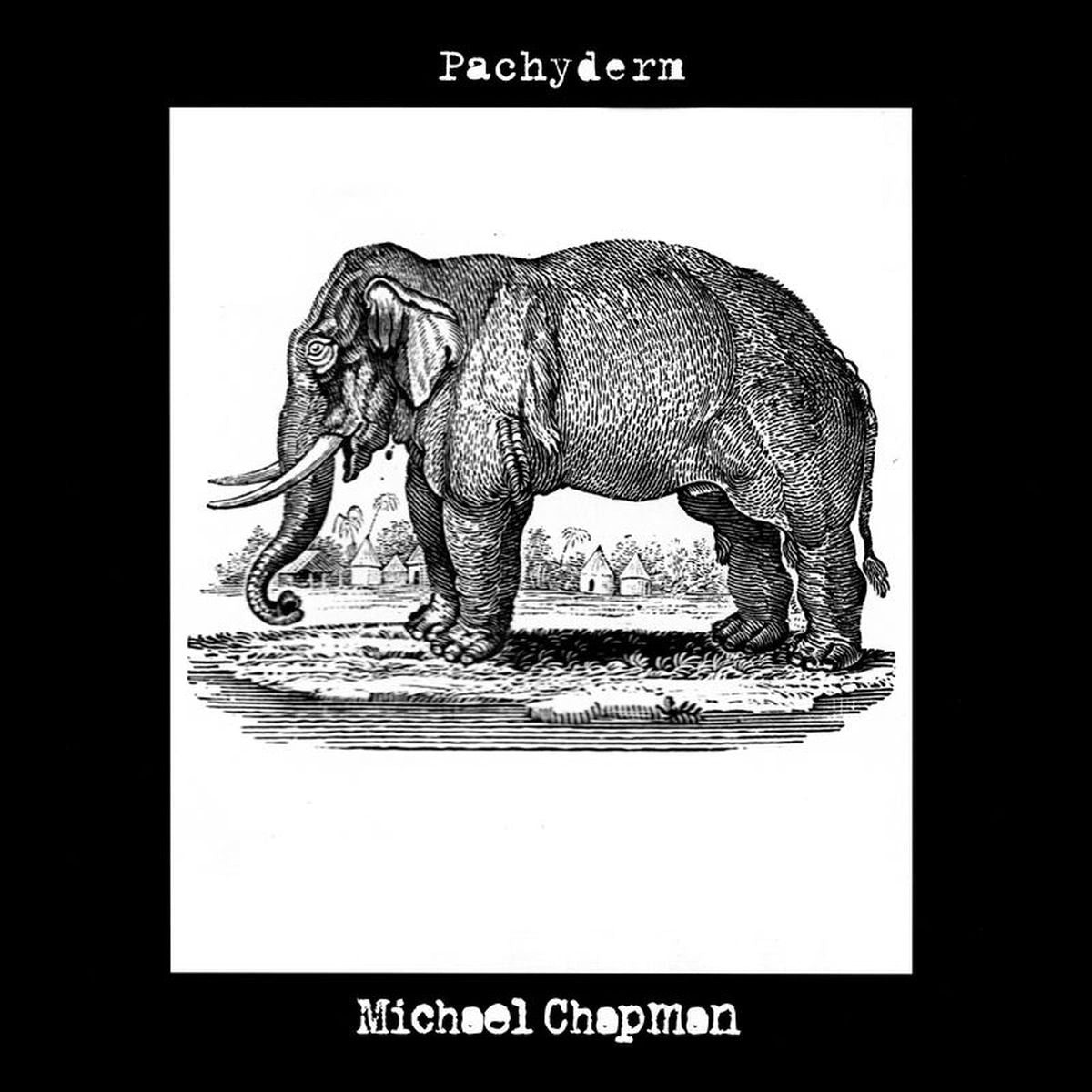 Michael Chapman – Pachyderm vinyl cover