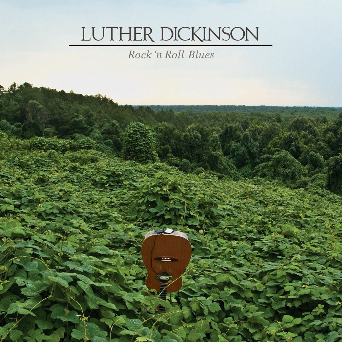 Luther Dickinson – Rock 'n Roll Blues vinyl cover