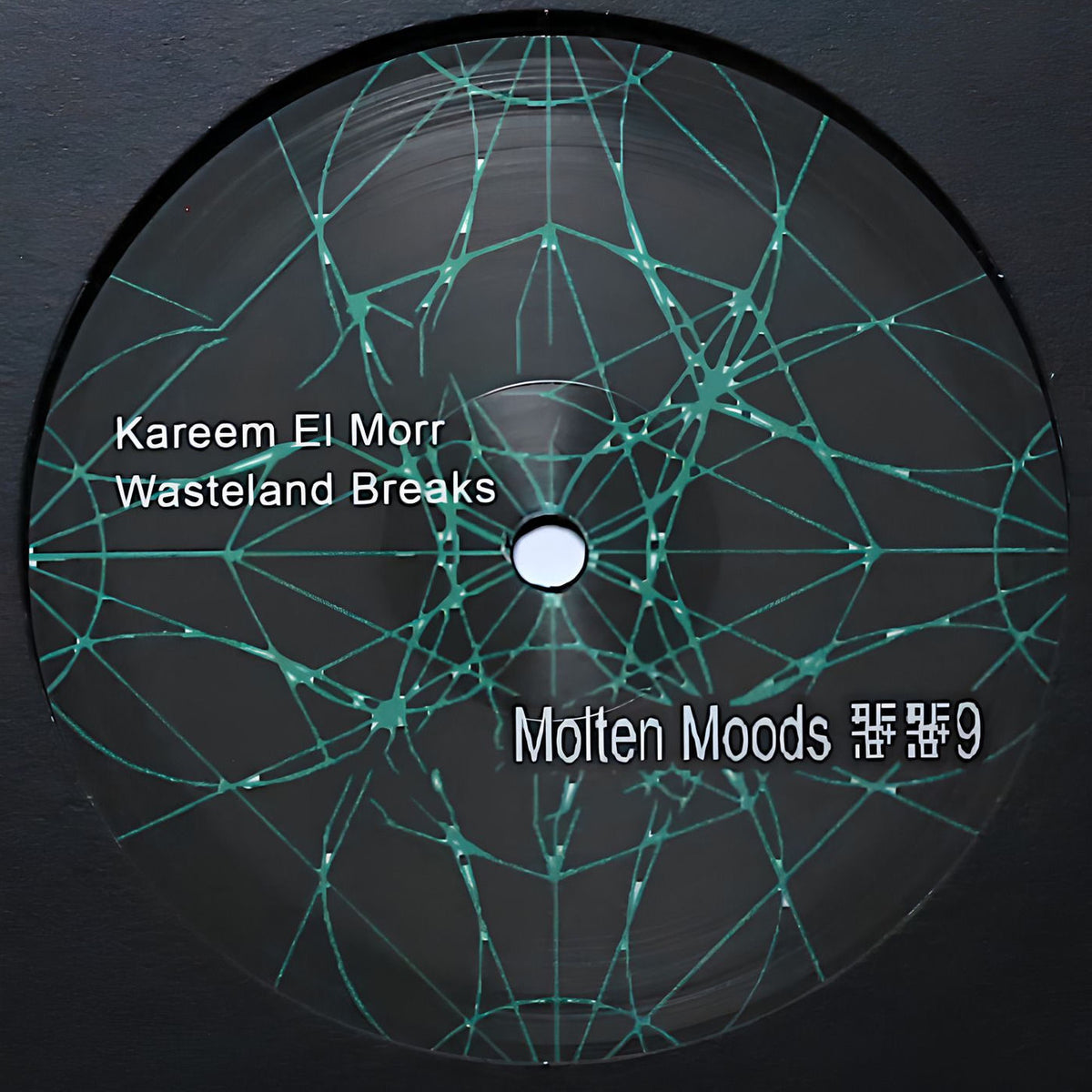 Kareem El Morr – Wasteland Breaks vinyl cover