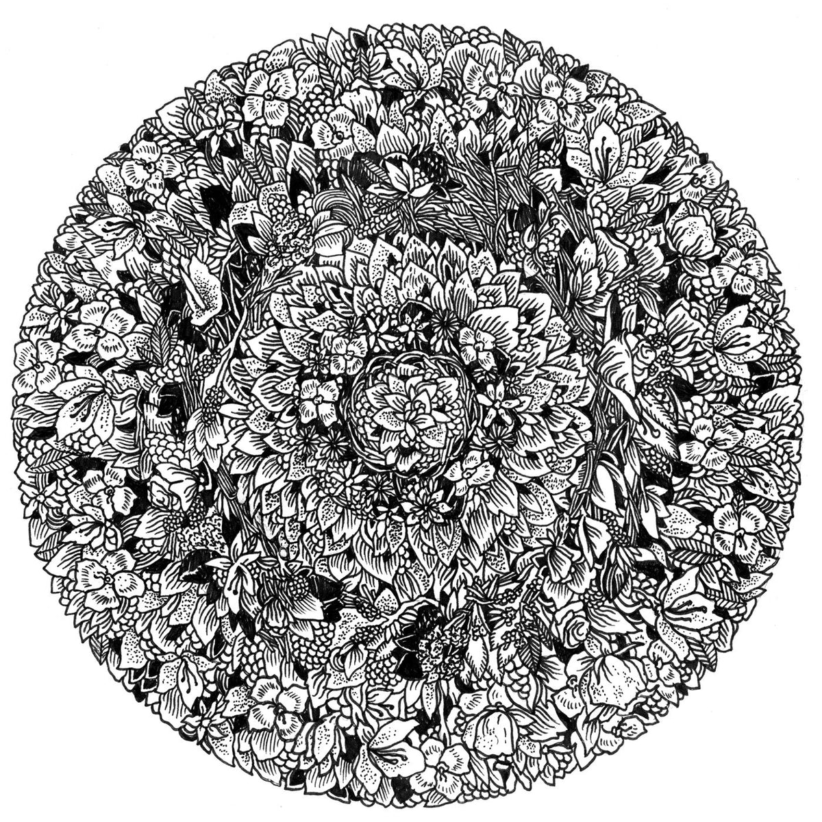 Some Ember – Some Ember vinyl record cover