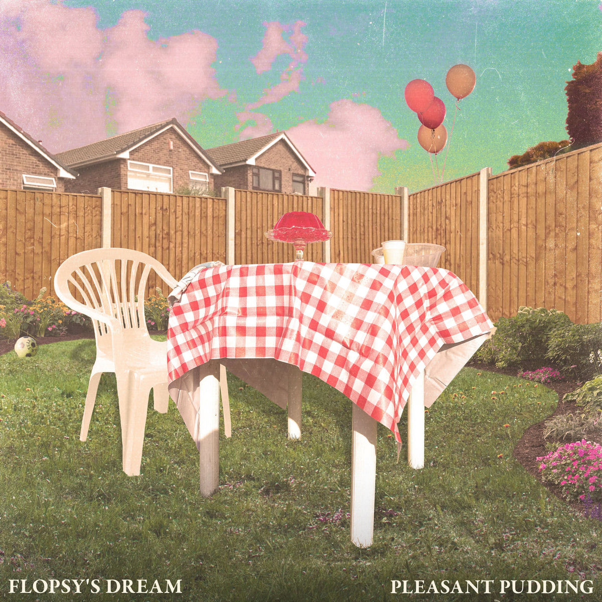 Flopsy's Dream – Pleasant Pudding vinyl cover