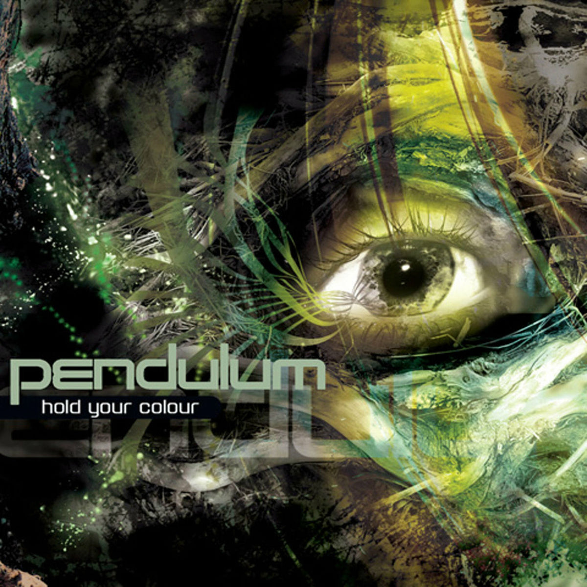 Pendulum – Hold Your Colour vinyl record cover