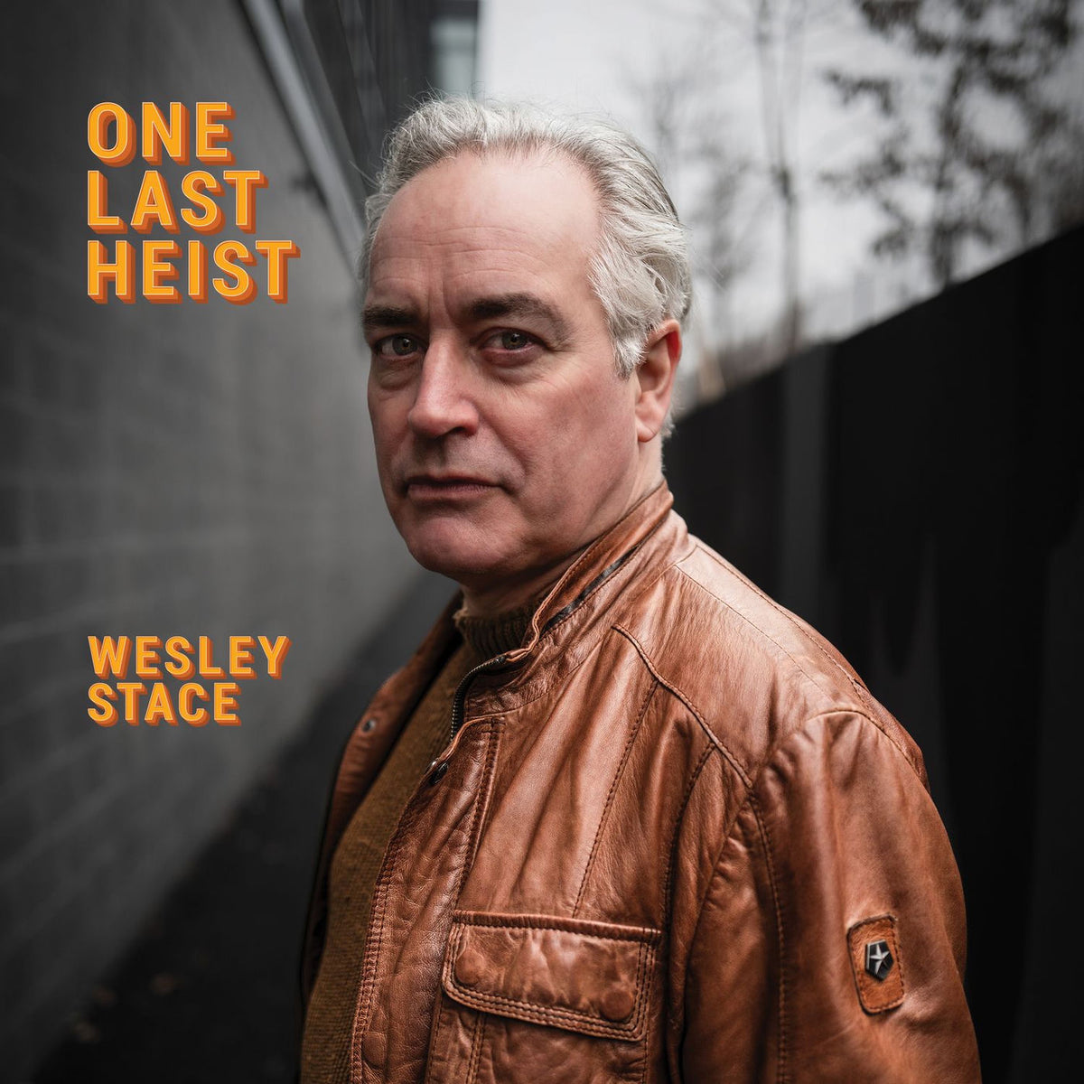 Wesley Stace – One last heist vinyl record cover