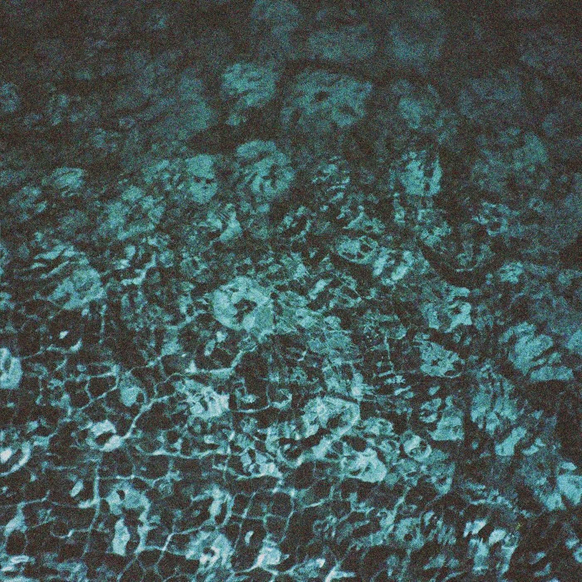 Chastity – Peroxide vinyl cover
