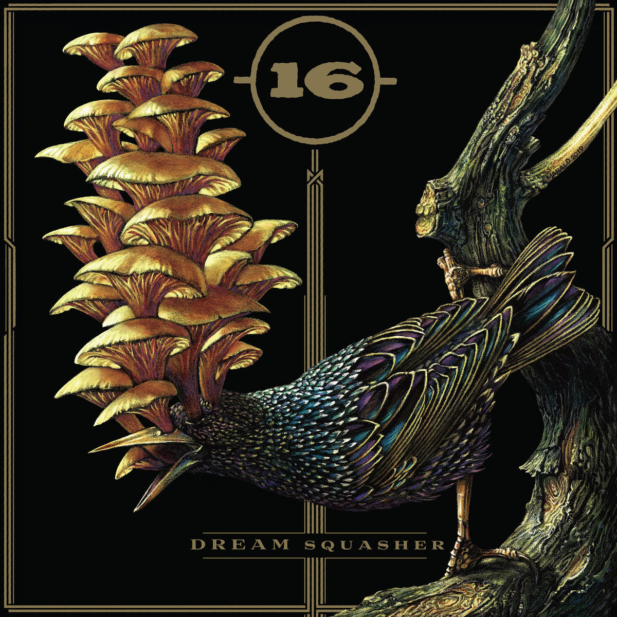 16 – Dream Squasher vinyl record cover