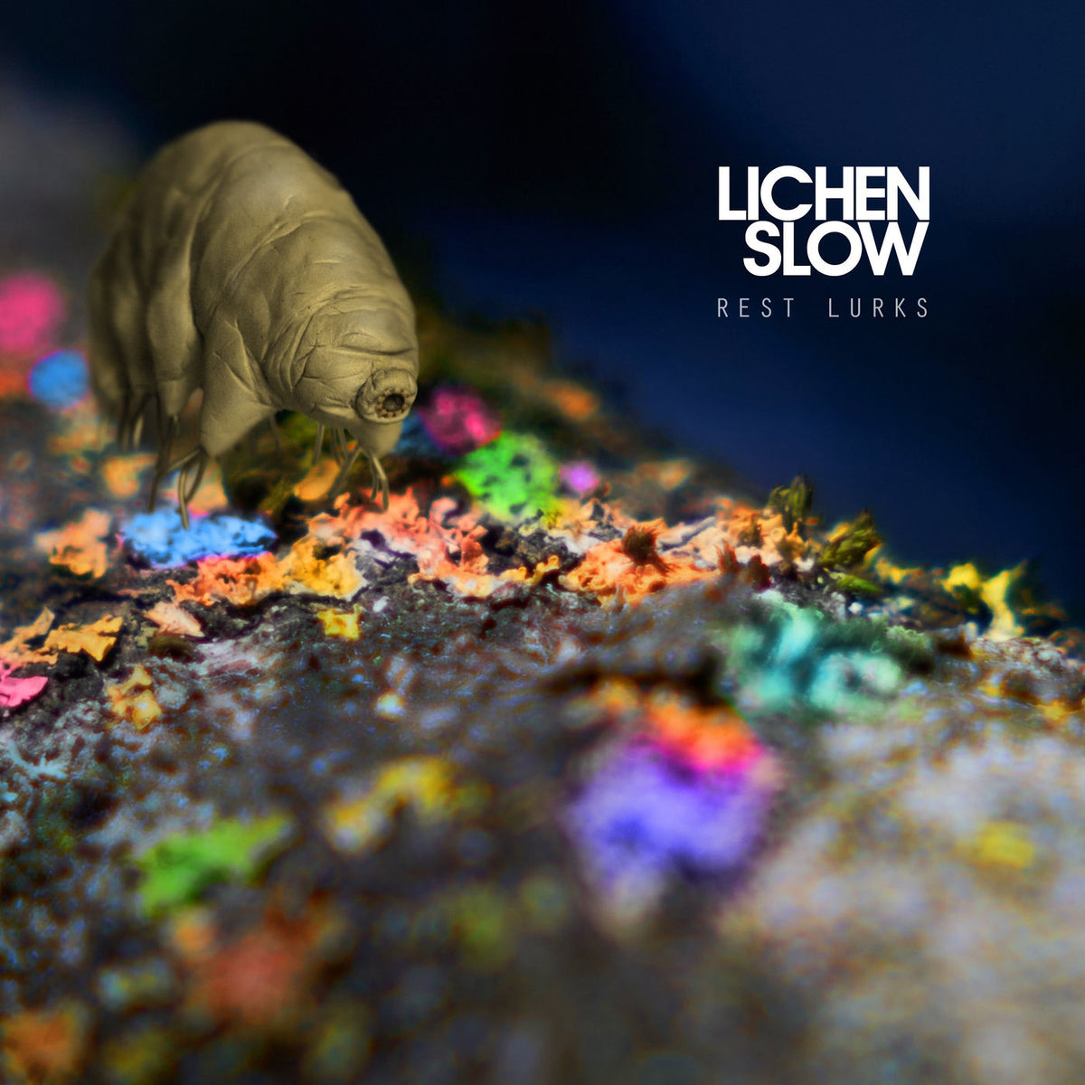 Lichen Slow – Rest Lurks vinyl record cover