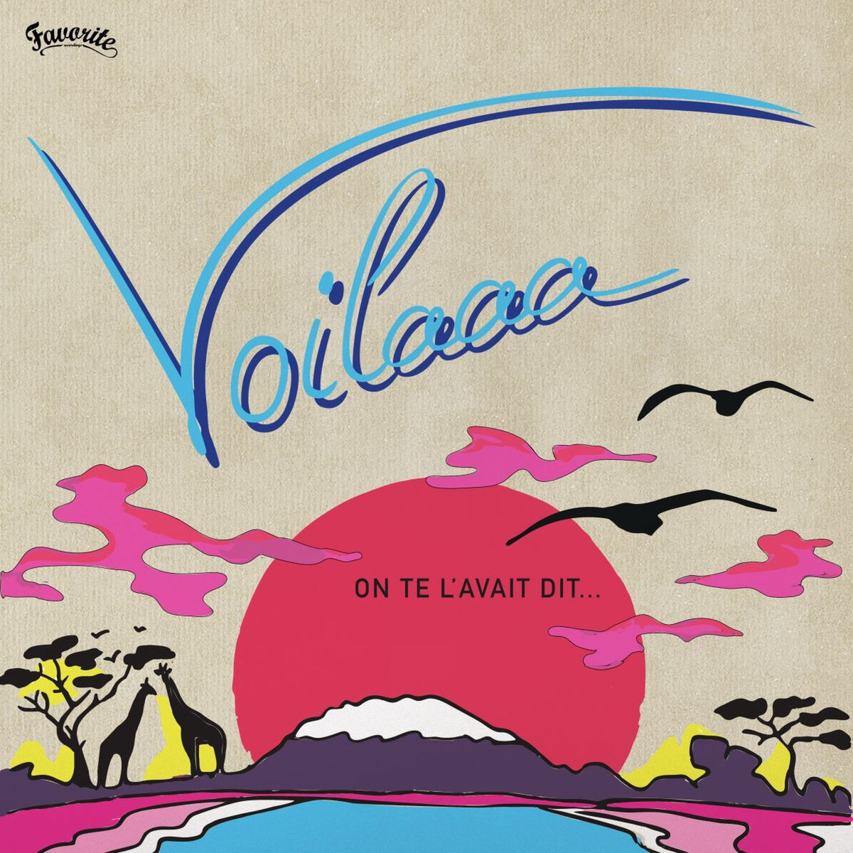 Voilaaa – On Te L'Avait Dit vinyl record cover