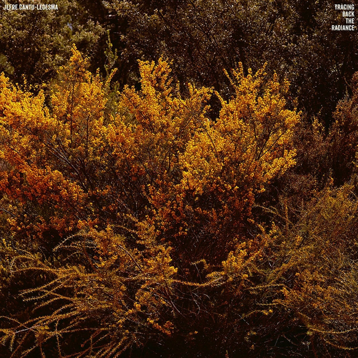 Jefre Cantu-Ledesma – Tracing Back the Radiance vinyl cover