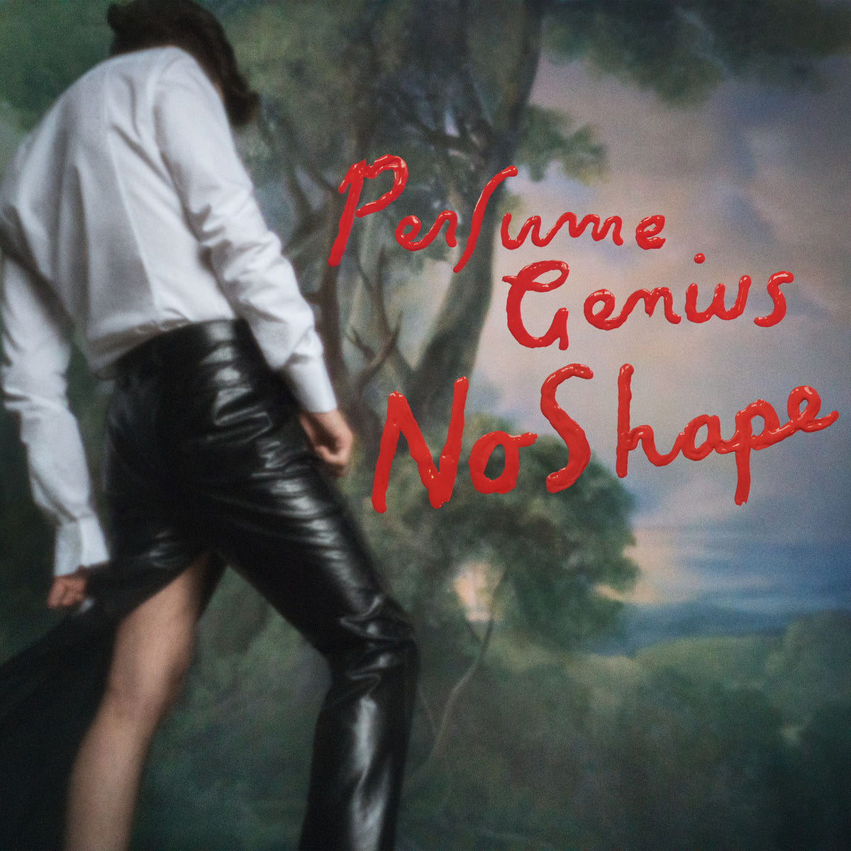 Perfume Genius – No Shape vinyl record cover
