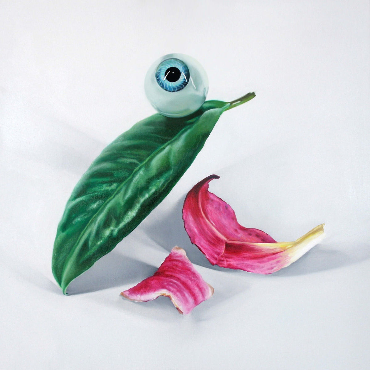 DELS – Petals Have Fallen vinyl record cover