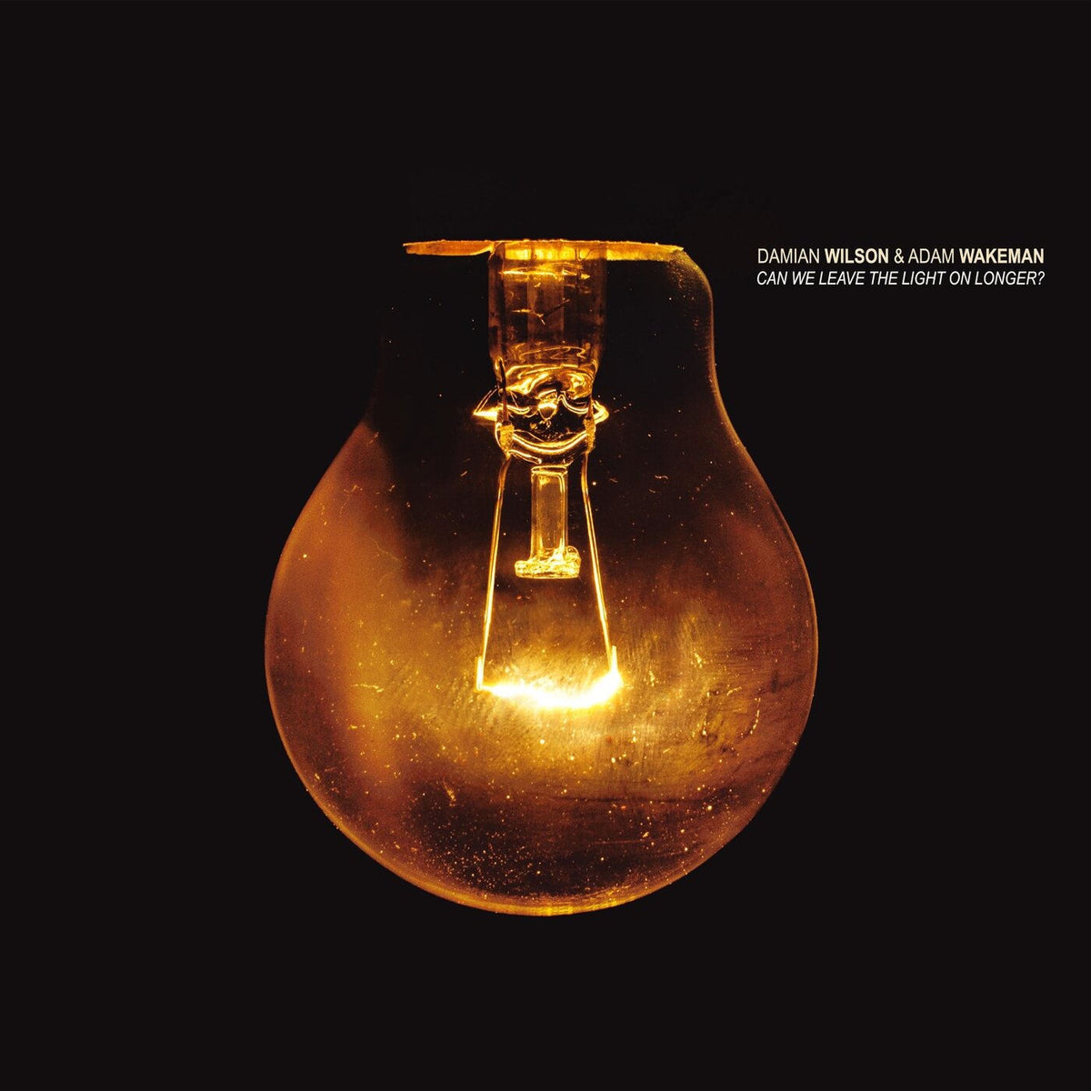 Damian Wilson – Can We Leave The Light On Longer? — record image 1