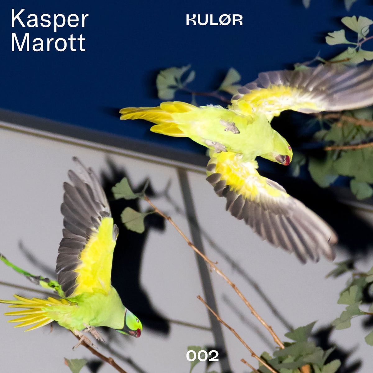 Kasper Marott – Forever Mix vinyl cover