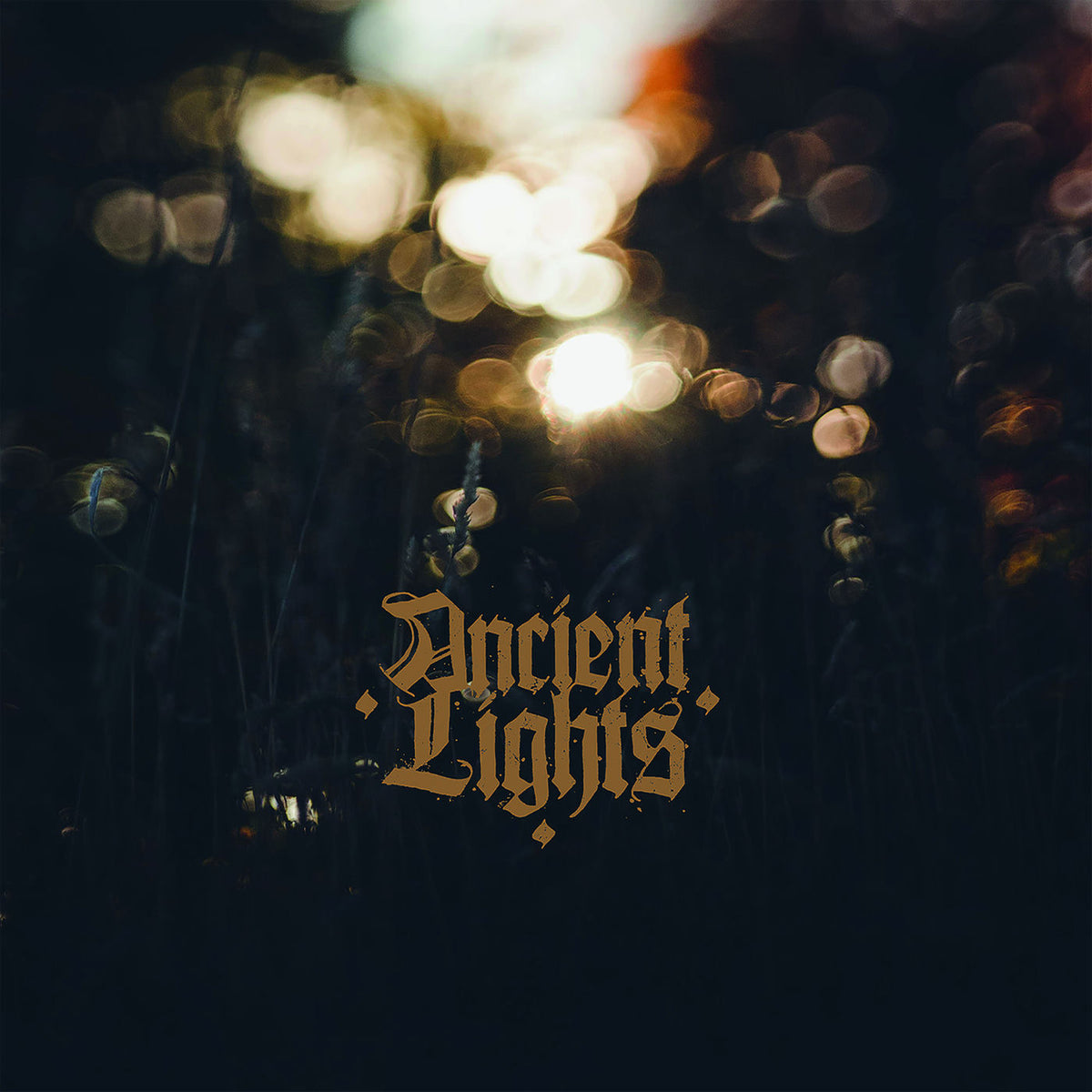 Ancient Lights – Ancient Lights vinyl record cover