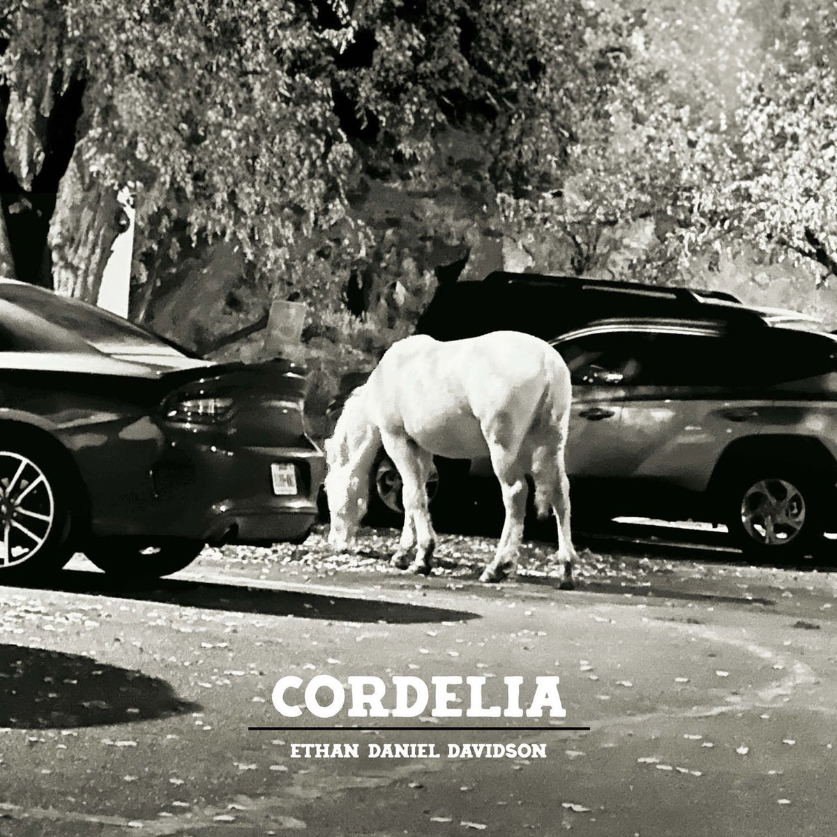 Ethan Daniel Davidson – Cordelia vinyl cover