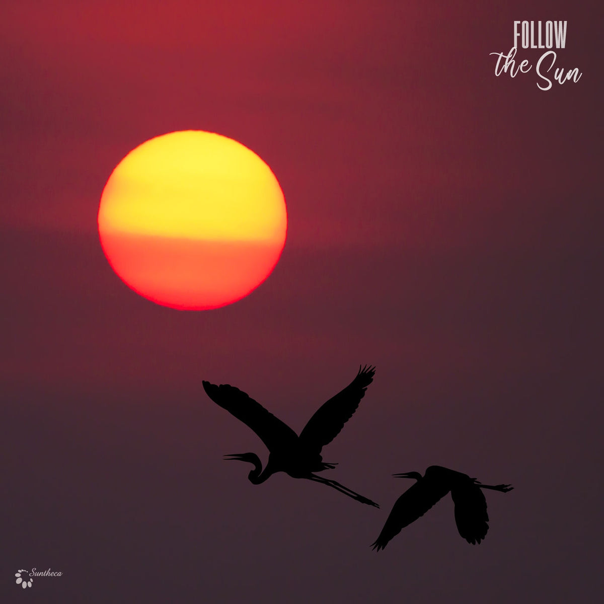Various Artists – Follow The Sun vinyl record cover