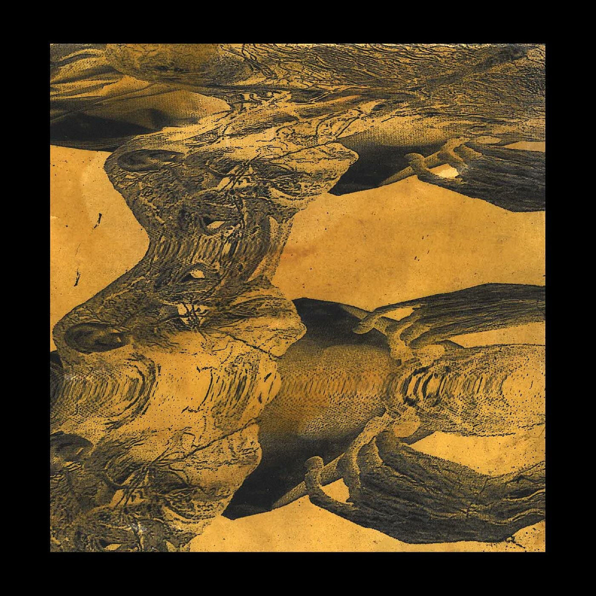 Tashi Dorji – Tashi Dorji vinyl cover