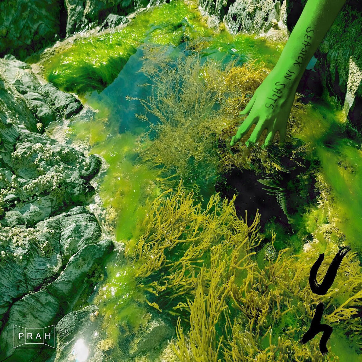 Uh – Seasick in Salts vinyl record cover