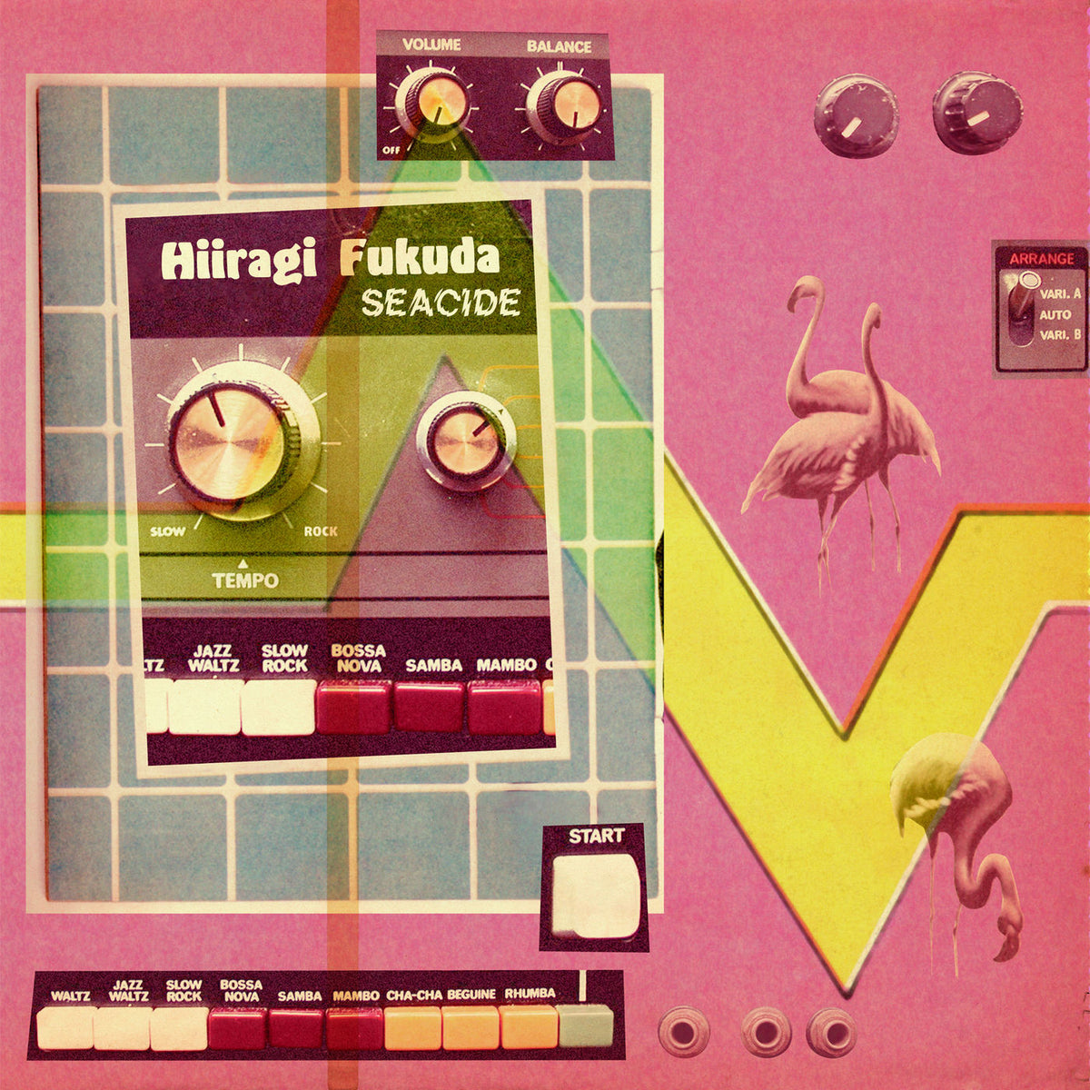 Hiiragi Fukuda – Seacide vinyl cover