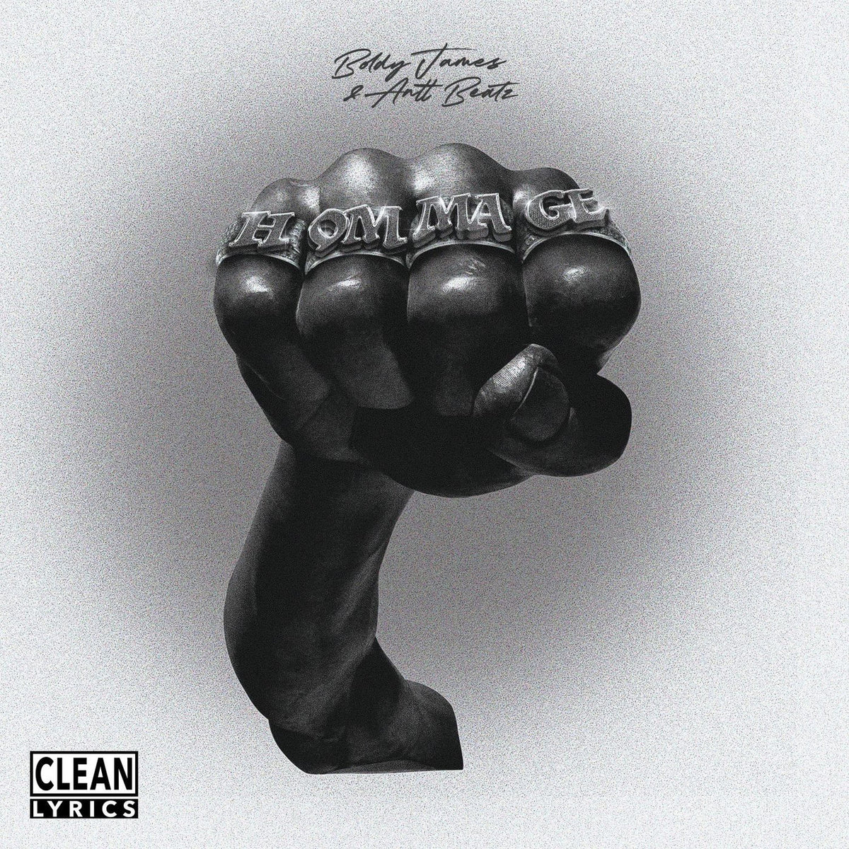 Boldy James – Hommage vinyl cover